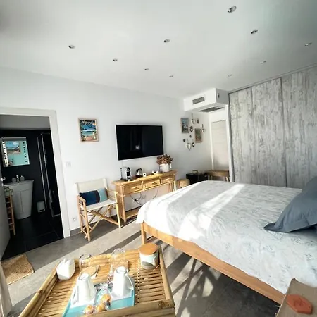 Luxe Dans De Standing Avec Piscine, Acces Discret Et Independant, Terrasse Arboree Et Parking Prive Bed & Breakfast